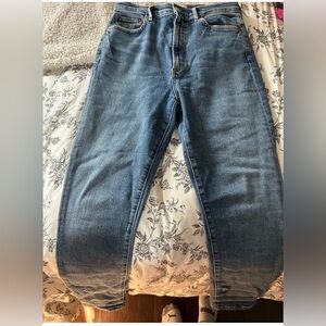 Agolde 90s Pinch Waist Jeans